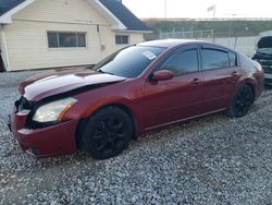 Nissan Maxima salvage cars for sale: 2008 Nissan Maxima SE