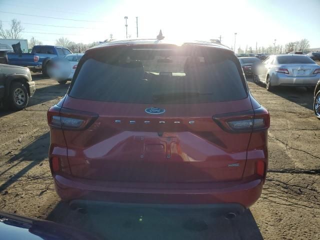 2024 Ford Escape ST Line