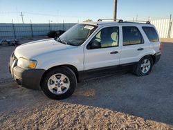 Salvage cars for sale from Copart Andrews, TX: 2006 Ford Escape XLT