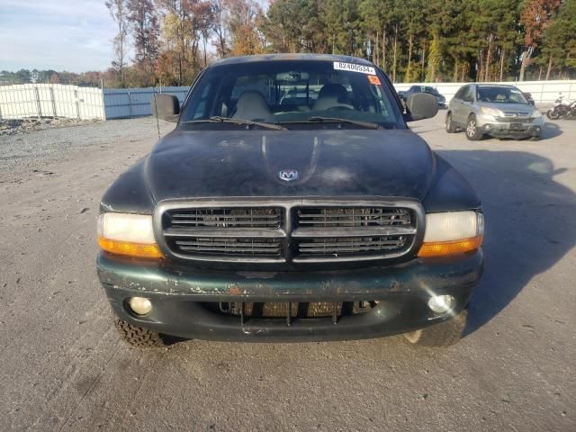 2000 Dodge Dakota