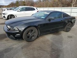 Ford Mustang salvage cars for sale: 2014 Ford Mustang