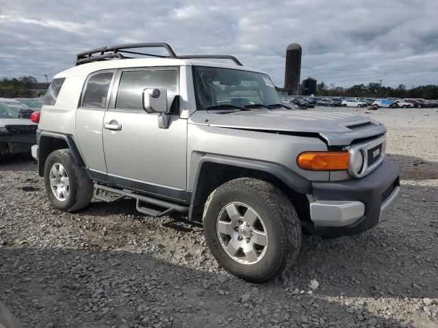 2010 Toyota FJ Cruiser