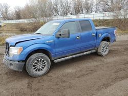 Ford f-150 salvage cars for sale: 2013 Ford F150 Supercrew