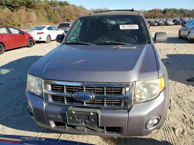 2008 Ford Escape XLT