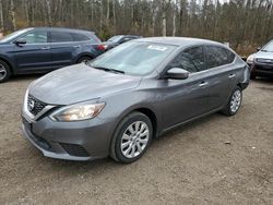 Nissan Sentra salvage cars for sale: 2019 Nissan Sentra S