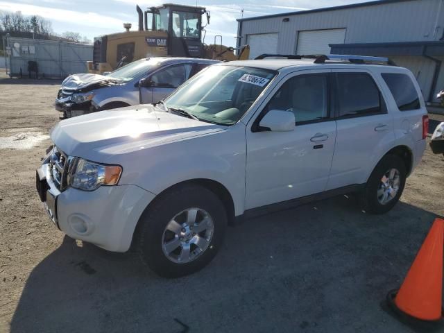 2011 Ford Escape Limited