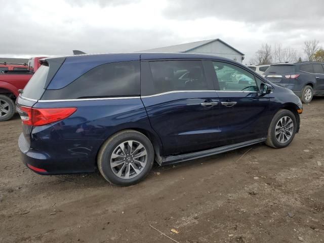 2023 Honda Odyssey EXL