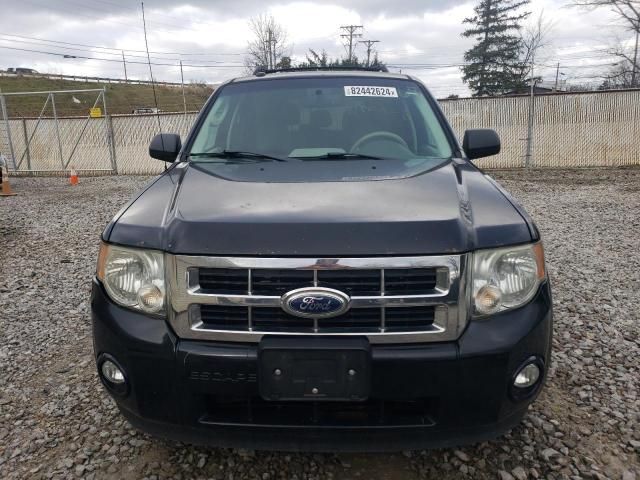 2012 Ford Escape XLT