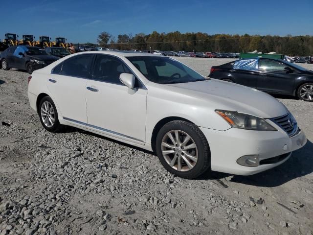 2010 Lexus ES 350