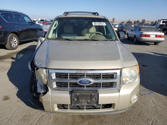 2011 Ford Escape XLT