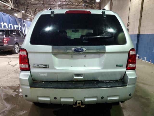 2010 Ford Escape Limited