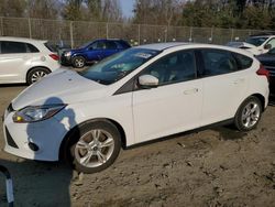 Ford Focus salvage cars for sale: 2013 Ford Focus SE