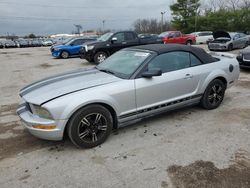 Ford salvage cars for sale: 2005 Ford Mustang