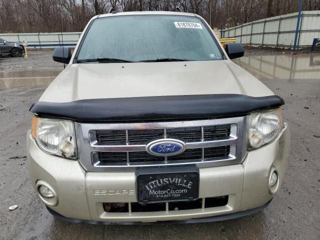 2011 Ford Escape XLT