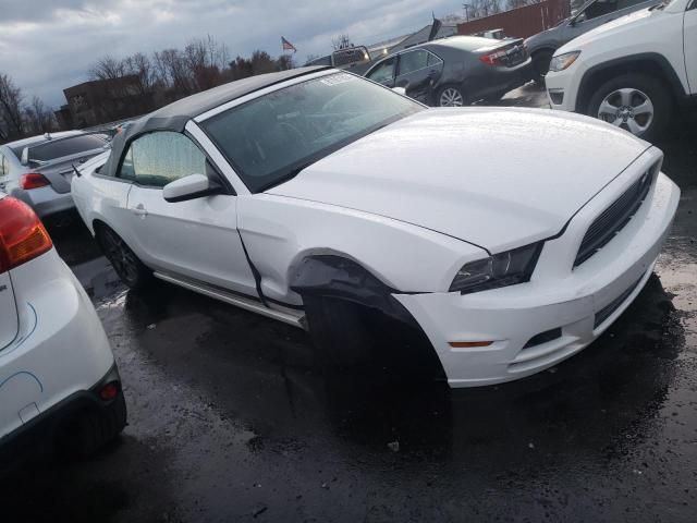 2013 Ford Mustang