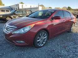 Hyundai Sonata salvage cars for sale: 2013 Hyundai Sonata SE