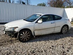 Honda Accord salvage cars for sale: 2008 Honda Accord EXL