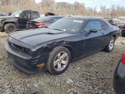 Dodge Challenger salvage cars for sale: 2014 Dodge Challenger SXT