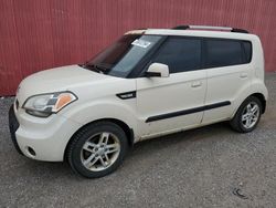 KIA salvage cars for sale: 2010 KIA Soul +