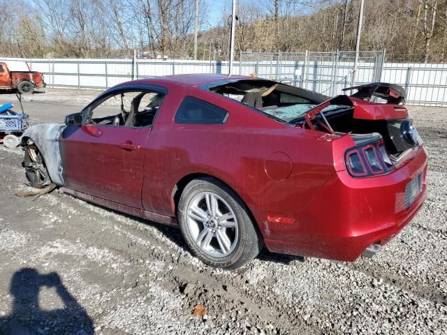 2014 Ford Mustang