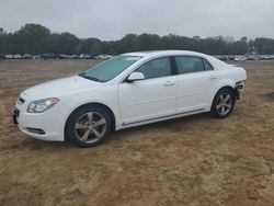 Chevrolet Malibu salvage cars for sale: 2009 Chevrolet Malibu 2LT