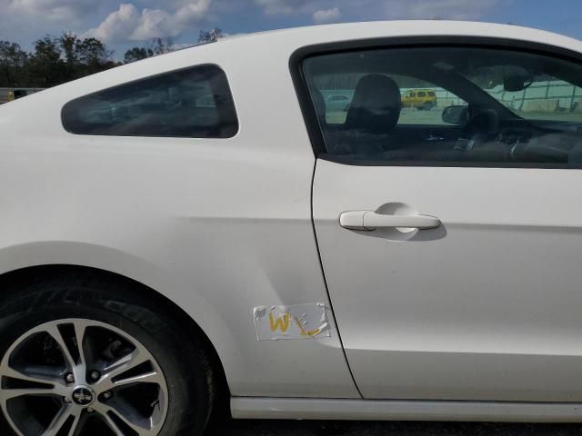 2013 Ford Mustang