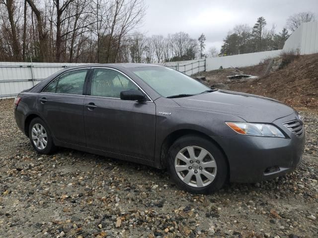 2007 Toyota Camry Hybrid