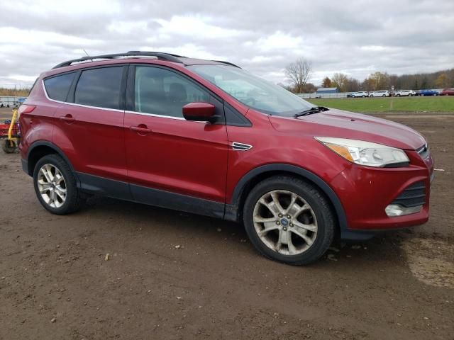 2013 Ford Escape SE