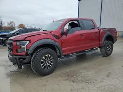 Ford f150 salvage cars for sale: 2019 Ford F150 Raptor