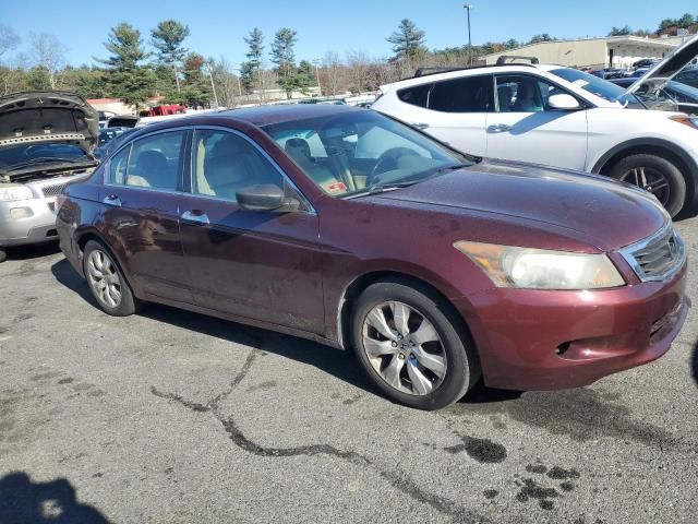 2008 Honda Accord EXL