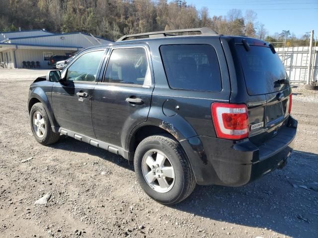 2012 Ford Escape XLT