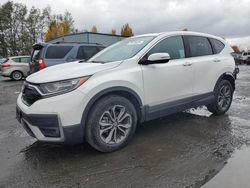 Salvage cars for sale from Copart Portland, OR: 2020 Honda CR-V EXL