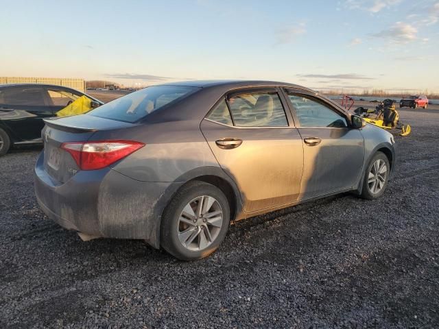 2014 Toyota Corolla ECO