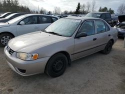 Toyota Corolla salvage cars for sale: 2001 Toyota Corolla CE