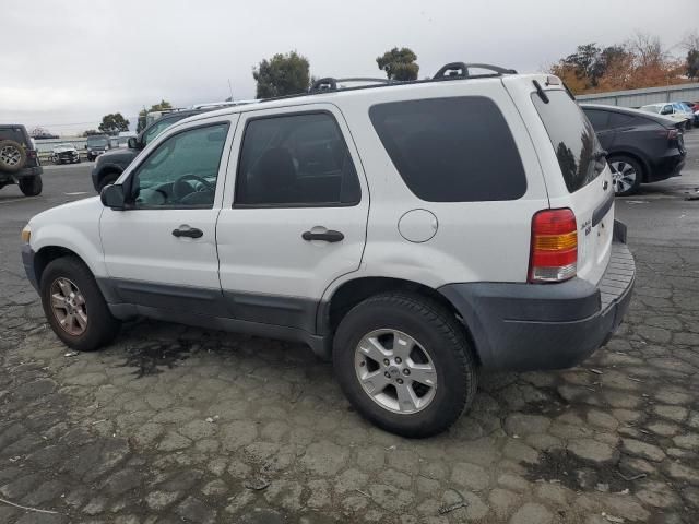 2006 Ford Escape XLT