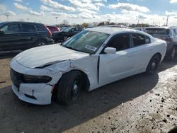 Dodge Vehiculos salvage en venta: 2021 Dodge Charger Police