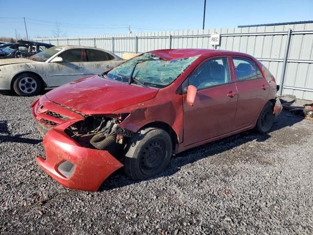 2011 Toyota Corolla Base