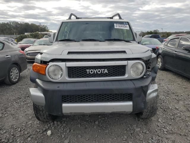 2010 Toyota FJ Cruiser