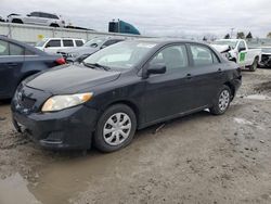 Toyota Corolla salvage cars for sale: 2010 Toyota Corolla Base