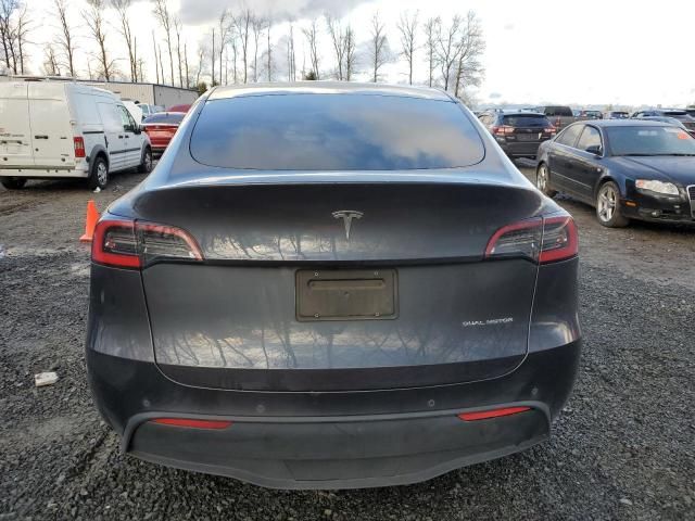 2020 Tesla Model Y