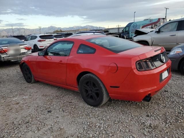 2014 Ford Mustang