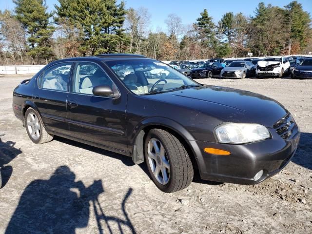 2001 Nissan Maxima GXE