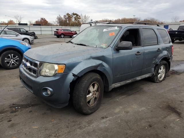 2011 Ford Escape XLT