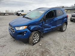 Ford Ecosport salvage cars for sale: 2021 Ford Ecosport SE