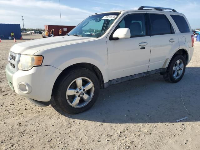 2010 Ford Escape Limited