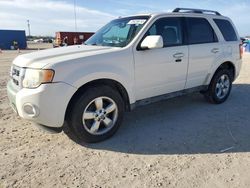 Ford Escape salvage cars for sale: 2010 Ford Escape Limited