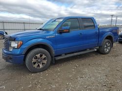 Ford f-150 salvage cars for sale: 2012 Ford F150 Supercrew