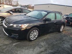 Honda Accord salvage cars for sale: 2013 Honda Accord EXL