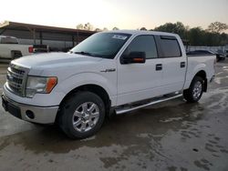 Ford f-150 salvage cars for sale: 2013 Ford F150 Supercrew