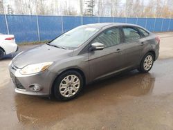 Ford salvage cars for sale: 2012 Ford Focus SE